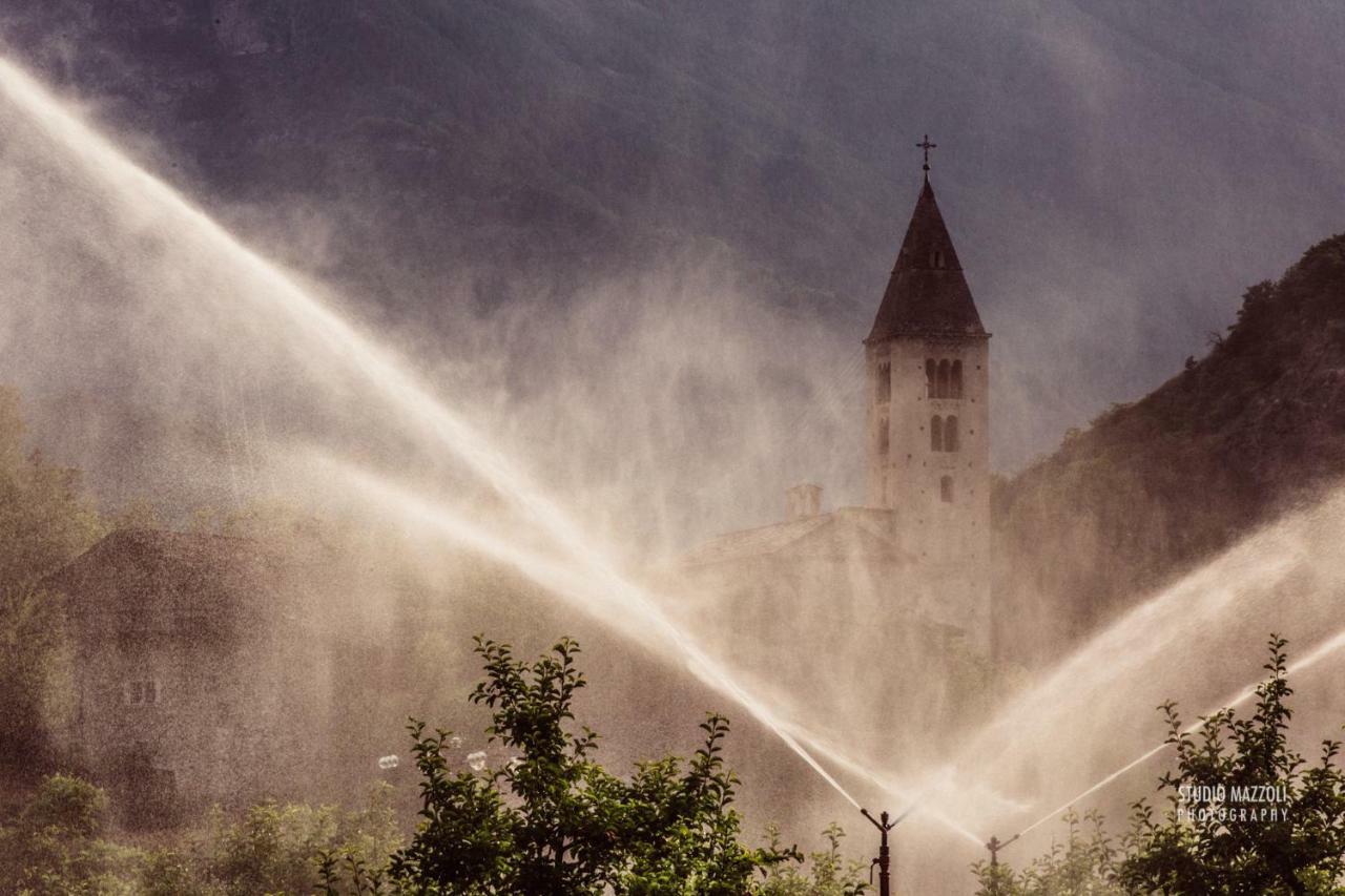 Aosta Quality Apartments Bagian luar foto