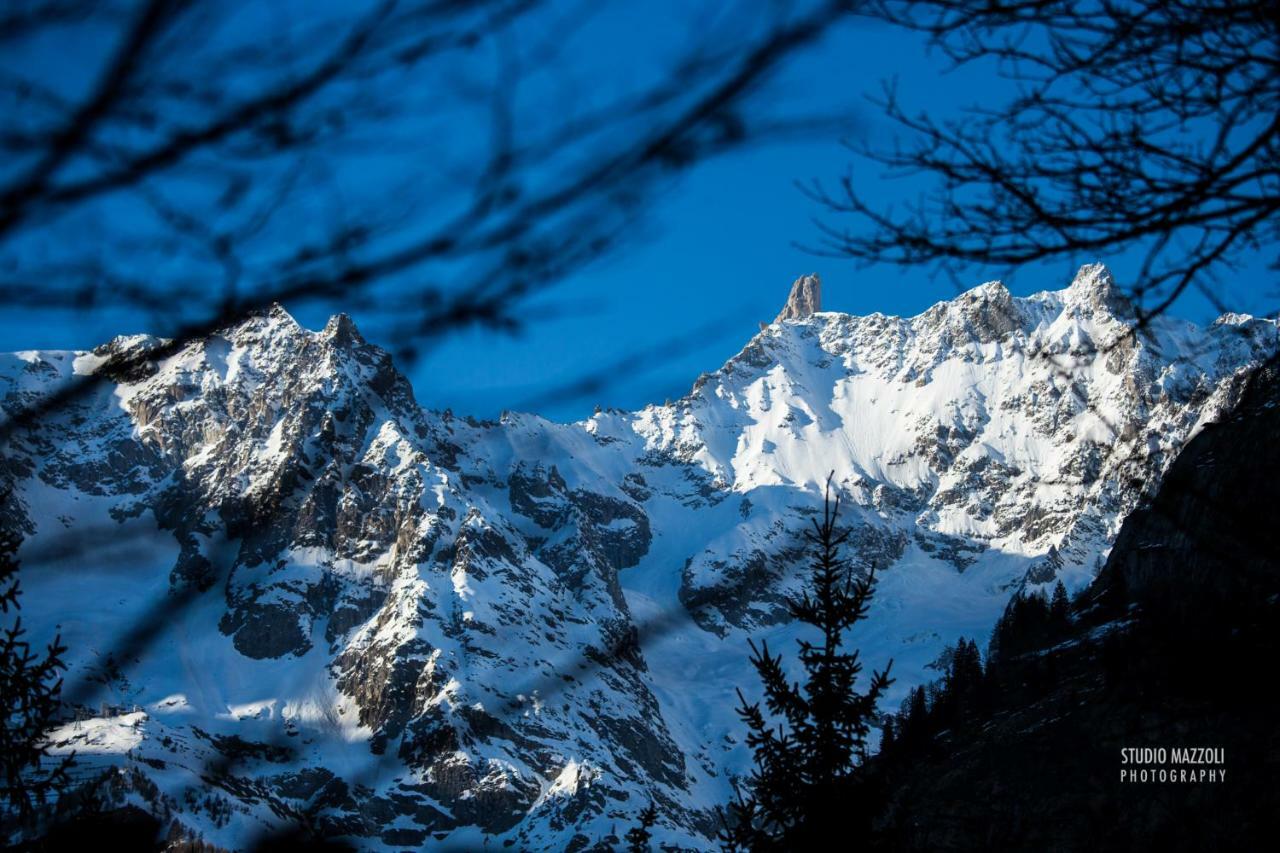 Aosta Quality Apartments Bagian luar foto